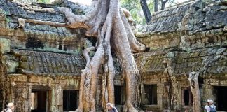 Khám phá đền Ta Prohm Campuchia, ngôi đền bí ẩn với những rễ cây kì dị